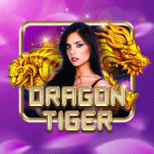 OKBet Dragon Tiger live casino